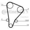 CONTITECH CT521 Timing Belt